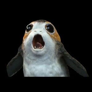 Meet your Posher, Harley